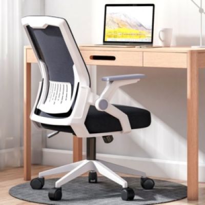 Chaises de bureau
