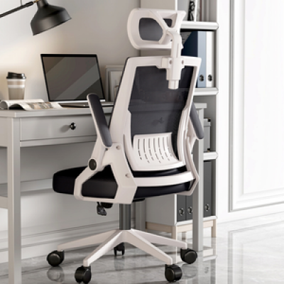 Chaises de bureau